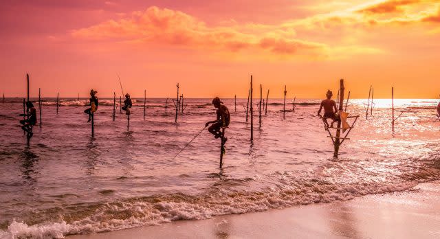 Ikonische Stelzenfischer auf Sri Lanka
