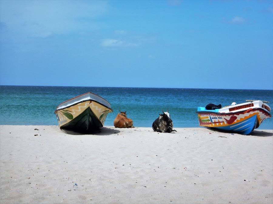 Nadine-Frey-travelmieze.com-asien-reiseberichte
