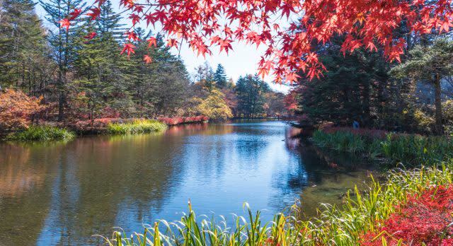 Herbst in Japan mit einen traumhaften Anblick gefärbter Blätter