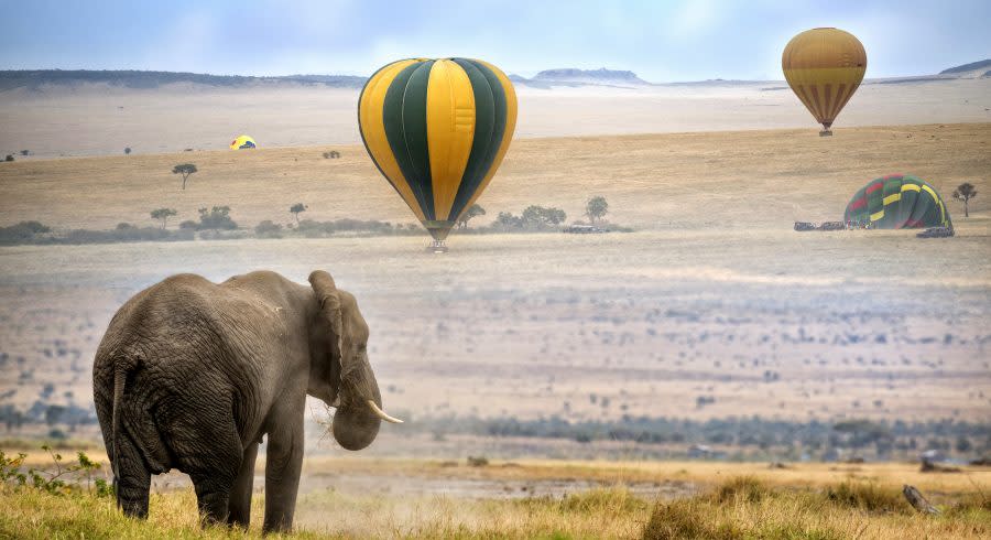 Masai Mara National Reserve, Kenya