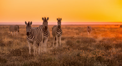 Am Weinberg Boutique Hotel In Namibia Enchanting Travels