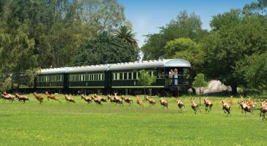 Example private tour: Cape Town, Rovos Luxury & Kruger Example private tour: Cape Town, Rovos Luxury & Kruger