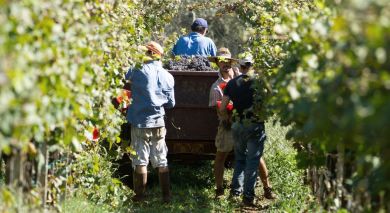 Empfohlene Individualreise, Rundreise: Argentinien: Wein und Wasserfälle Empfohlene Individualreise, Rundreise: Argentinien: Wein und Wasserfälle