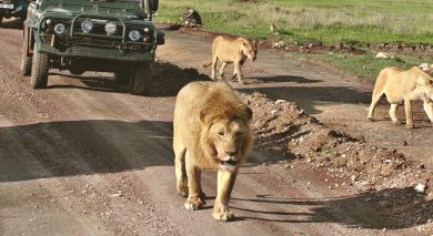 Example private tour: Exploring Eastern South Africa Example private tour: Exploring Eastern South Africa