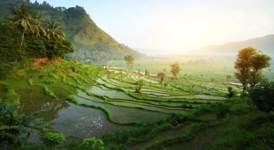 Example private tour: Festive Special: Indonesia’s Timeless Landscapes and Unique Culture Example private tour: Festive Special: Indonesia’s Timeless Landscapes and Unique Culture