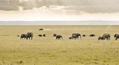 Example private tour: Kenya: Cultural Encounters and Wildlife Safari Example private tour: Kenya: Cultural Encounters and Wildlife Safari