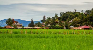 Example private tour: Best of Sulawesi and Sumatra Example private tour: Best of Sulawesi and Sumatra