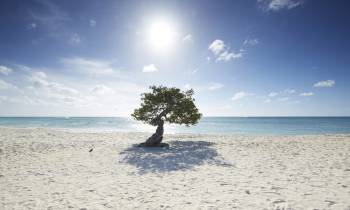 a man standing on top of a sandy beach