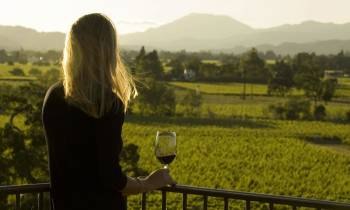 Wine Tasting