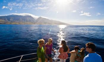 Whale watching tour