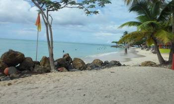 a group of people on a beach near a body of water