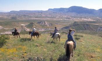 Trail ride