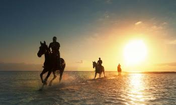 a man riding a horse on a beach