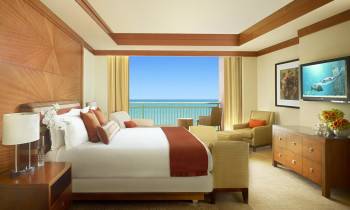 a bedroom with a large bed in a hotel room