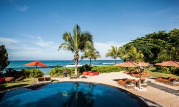 a group of palm trees next to a pool of water