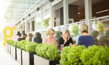 a group of people standing in a garden