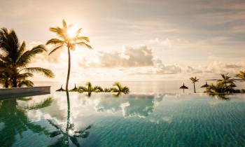 a group of palm trees next to a body of water