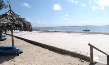 a bench on a sandy beach next to a body of water