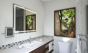a sink and a mirror