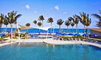 a row of palm trees next to a swimming pool