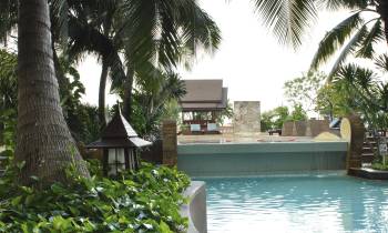 a large pool of water in front of a palm tree