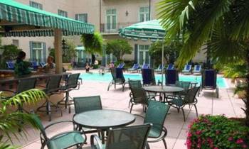 a group of lawn chairs and palm trees