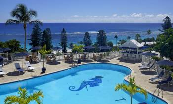a group of palm trees next to a pool of water