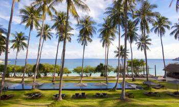 a group of lawn chairs on a beach with a palm tree