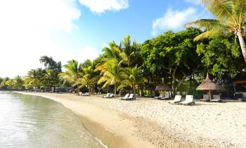 Ravenala beach