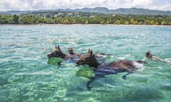 a group of people swimming in a body of water