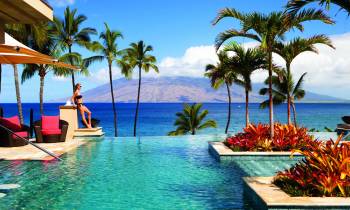 a group of palm trees next to a body of water