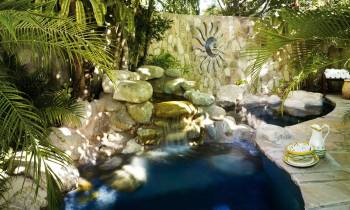 a group of palm trees on the side of a river