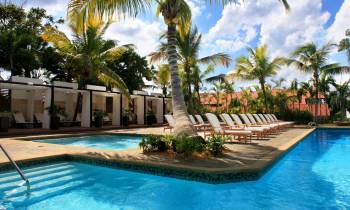 a group of palm trees next to a swimming pool