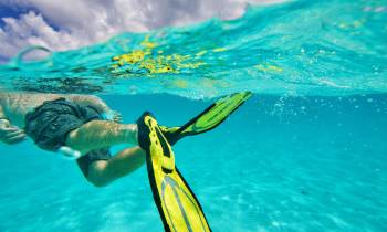 a person swimming in a pool of water