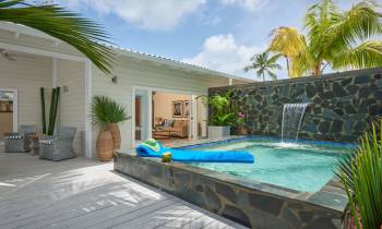 a pool next to a palm tree
