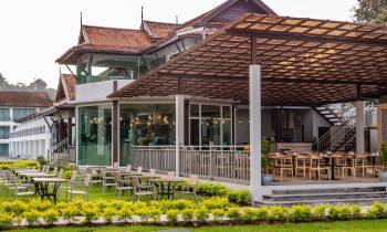 Hive Cafe