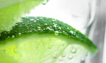 Lime