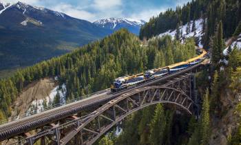 a train crossing a bridge over a river in a forest