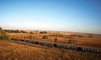 a large long train on a track near a field