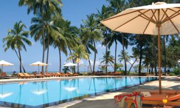 a row of palm trees next to a pool of water