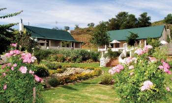 a close up of a flower garden in front of a house