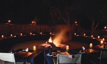 Safari Dining