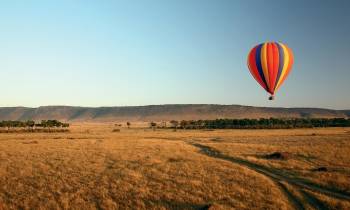a person flying a kite in a field
