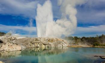 Te Puia, Rotorua