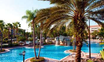a pool next to a palm tree in front of a body of water