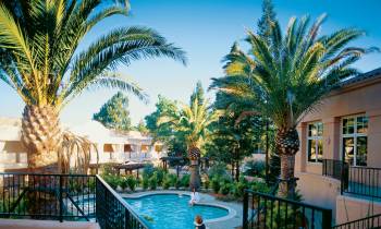 a pool next to a palm tree