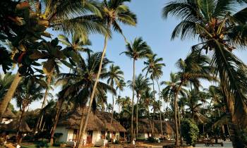 Beachfront rooms