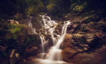 a waterfall with trees in the background