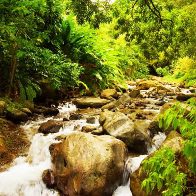 Mountain stream