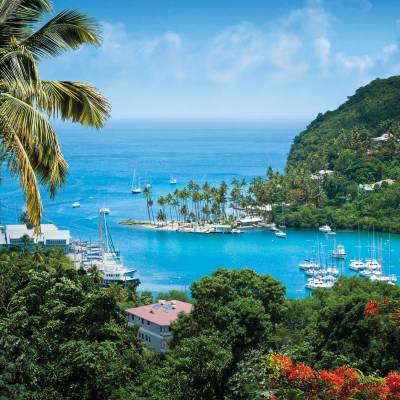 a body of water surrounded by palm trees with Marigot Bay in the background